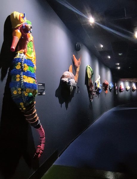 493496828_1227475269295950_2242470142293656577_n